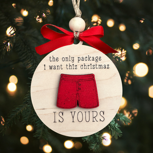 The Only Package I Want This Christmas Is Yours Ornament - Gifts for Him - Funny Christmas Tree Decoration