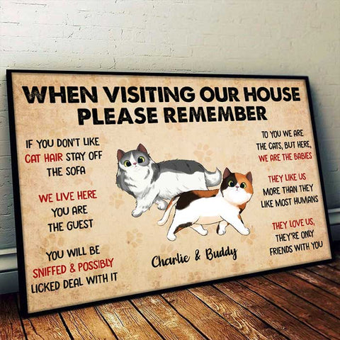 When Visiting My House Cat Walking - Personalized Horizontal Poster