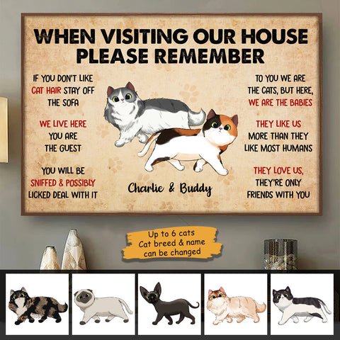 When Visiting My House Cat Walking - Personalized Horizontal Poster