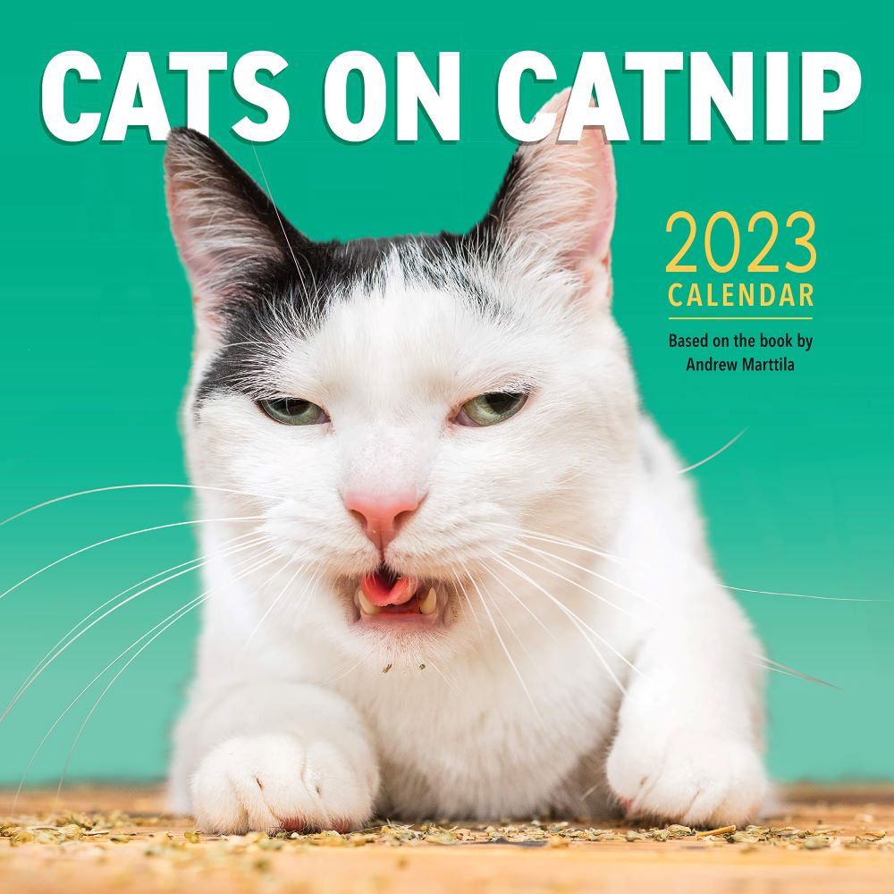 Cats on Catnip Wall Calendar 2023 Funny Calendar for Cat Lover Astrocus