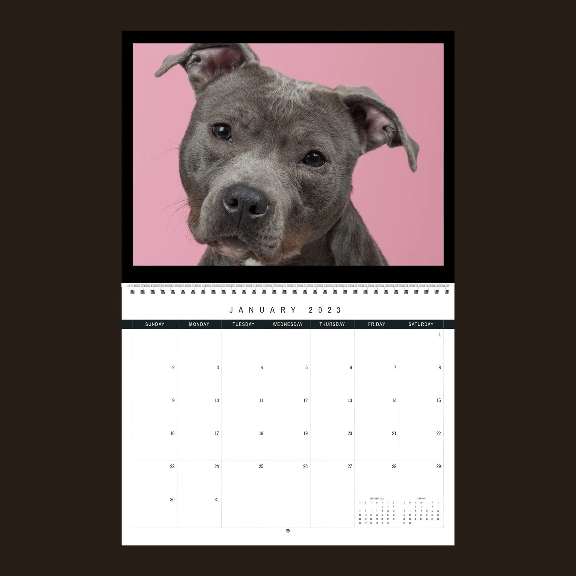Pitbull Calendar 2023 Gift Idea For Pitbull Lovers Wall Calendar